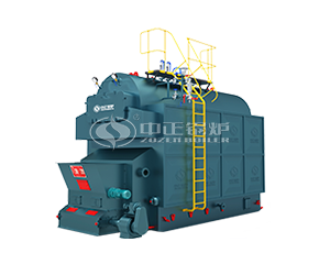 Biomass-fired boilers