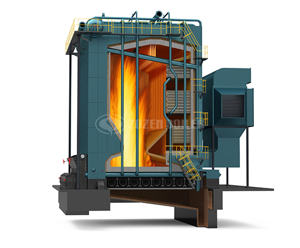 DHL Series Biomass Fired Steam Boiler