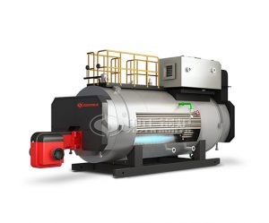 WNS Series Gas/Oil Fired Hot Water Boiler