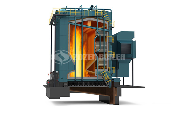 Biomass-fired boilers