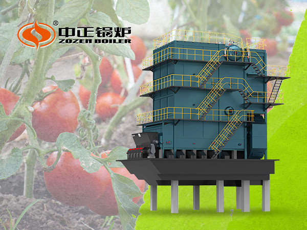 ZOZEN 50-Ton Steam Boiler Powers Efficiency Revolution in Xinjiang Tomato Industry