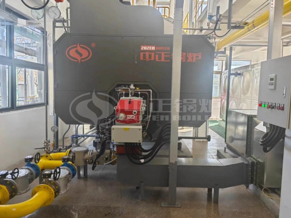 ZOZEN 8-Ton Biogas Fired Steam Boiler for Pharmaceutical Industry