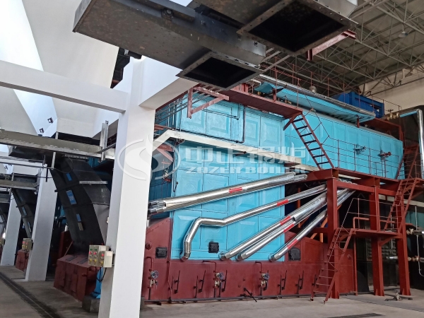 Yanchang Petroleum 25-Ton Chain Grate Steam Boiler Project